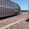 Kaleb Vargas - @kaleb.vargas8 - TikTok