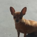 Kaleb Morgado Vazquez - @kalebbbbm - Instagram