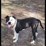 Kaleb Waters - @kalebwaters05 - Instagram