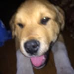Kaleb Webster - @webster_kaleb - Instagram