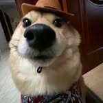 Kaleb welch - @kaleb_welch65 - Instagram