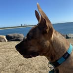Kaleb White - Facebook