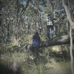 Kaleb Williamson - Facebook