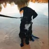 Kaleb williamson - @kaleb.williamson6645 - TikTok