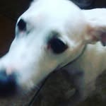 kaleb woods 0.1 - @wookaleb - Instagram