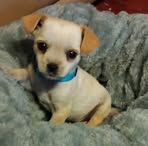 Kaleb Wright - Facebook