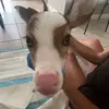 wyatt - @wyatt.kalebb09 - TikTok