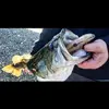 Kaleb Yang - @kaleb.yang - TikTok