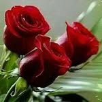 @_kaled_ahmed - Instagram