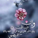 Kaled Ahmed - @ahmedka6475 - Instagram