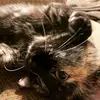 Kalee_Johnson - @kalee_johnson - TikTok