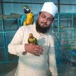 Md Kaleem Hasan - @kaleemhasan315 - Instagram
