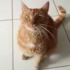 kayleighbregman - @kayleighbregman - TikTok
