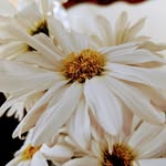 kayleigh.olson - @photo.kayleigh.20 - Instagram
