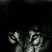 Kala Wolf - Facebook
