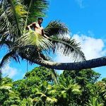Kaleo lee - @kaleo_leo_lee - Instagram