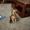 Kayley Campbell - @kayley.campbell19 - TikTok