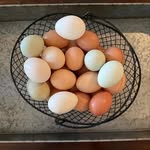 Kaley Clark - @clark_homestead - Instagram