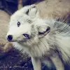 Kaley Evans - @kaley.evans - TikTok