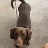 Kaley Gray - @kaleyleegray - TikTok