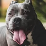 Kaley King - @aago846 - Instagram