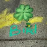 Kaley King of Birds - @kingofbirdsart - Instagram