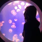 Kaley Porter - @kaleysart26 - Instagram