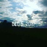Kaylee Schultz - @kaylee.schultz.585 - Instagram