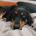 Kaylee Schultz - @_kayleeschultz_ - Instagram