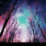 Kaylee Schultz - @kaylee.schultz.710 - Instagram