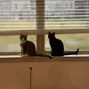 kailey.slattery - @kailey.slattery - TikTok