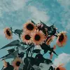 kayleeunger - @kayleeunger - TikTok