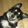 Kaley Wall - @kaleywall4 - TikTok