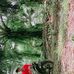 Mas Kaleem War - Facebook