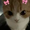 Kali Woods - @kaliwoods3 - TikTok
