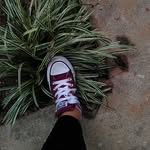 Kaylee York - @kaylee.york.581 - Instagram