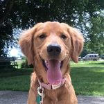 Kali Bear - @kali_omalley - Instagram