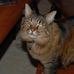 Kali Bear - Facebook