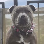 Kali Bear - @kali_bluebear - Instagram