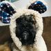 Kali Bear - Facebook