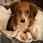 Kali Beck - Facebook