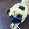 Kaliandra Becker - @kaliandrabecker - TikTok