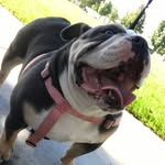 Kali_bird - @kali_bird_of_sblk - Instagram