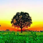 official__kali__charan__10k - @kalicharan2749 - Instagram