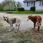 Kane and Kali Fox - @kane_and_kali - Instagram