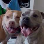 Kali and Grayson - @kaliandgrayson - Instagram
