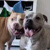 kaliandgrayson - @kaliandgrayson - TikTok