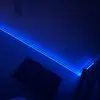 👤 - @kali.green49 - TikTok