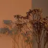 Kali Jacobs - @kalijacobs12 - TikTok