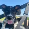 Kali Simons - @farmgirl535 - TikTok